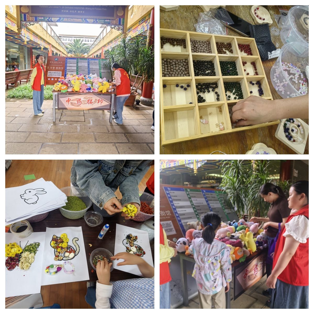 校妇联联合云南中医药大学工会在云南中