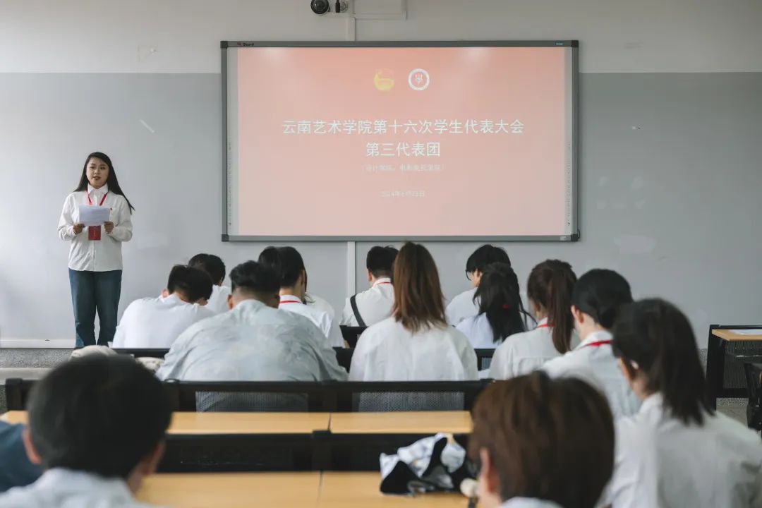 大会代表资格审查报告